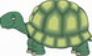 Turtle08