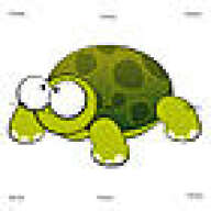 -Turtle-